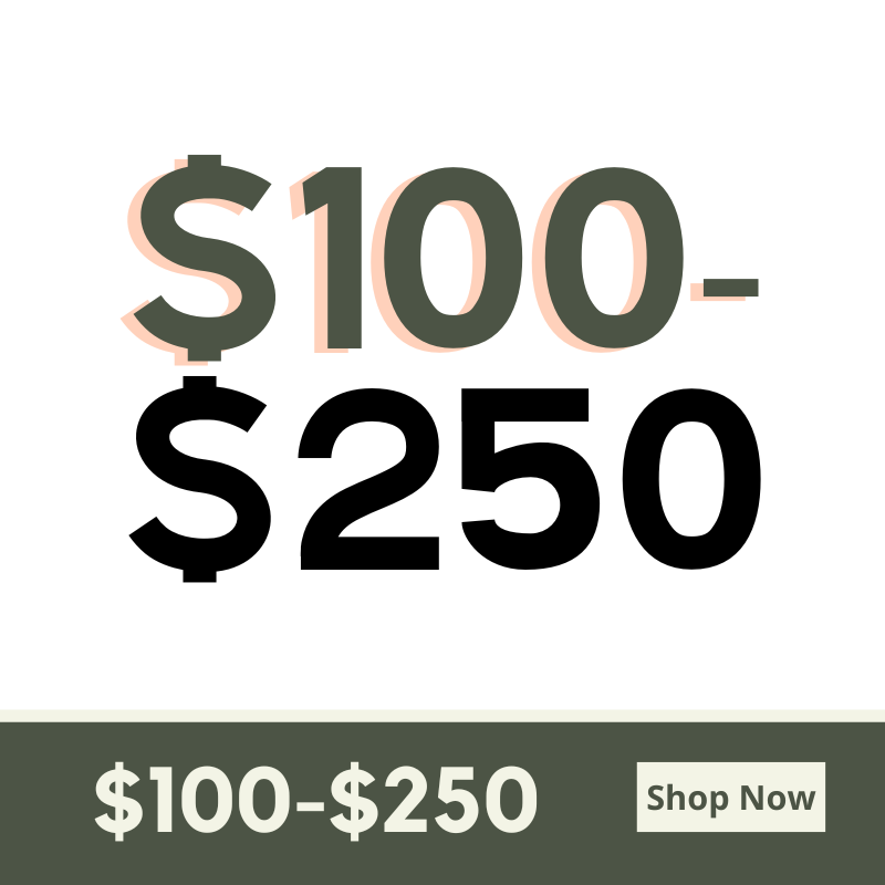 $100 - $250