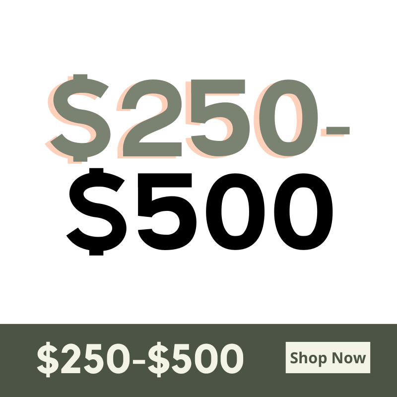$250 - $500