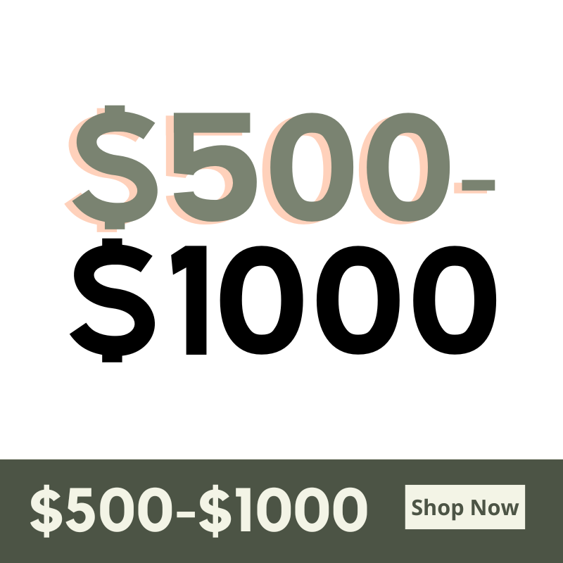 $500 - $1000