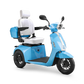 Bespoke Elite 3 wheels Customized Recreation Scooter