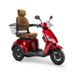 Bespoke Legacy 3 wheels Customized Recreation Scooter
