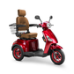 Bespoke Legacy 3 wheels Customized Recreation Scooter