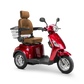 Bespoke Legacy 3 wheels Customized Recreation Scooter