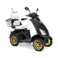 Bespoke Platinum 4 wheels Customized Recreation Scooter