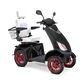 Bespoke Platinum 4 wheels Customized Recreation Scooter