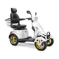 Bespoke Prestige 4 wheels Customized Recreation Scooter