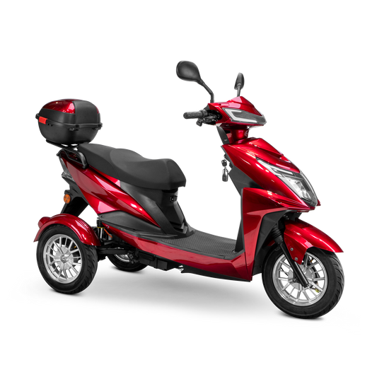 Bespoke Regal 3 wheels Customized Recreation Scooter