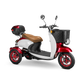 Bespoke Supreme 3 wheels Customized Recreation Scooter