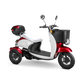 Bespoke Supreme 3 wheels Customized Recreation Scooter