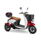 Bespoke Supreme 3 wheels Customized Recreation Scooter
