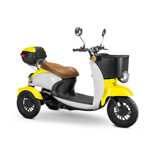 Bespoke Supreme 3 wheels Customized Recreation Scooter