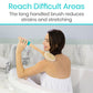 Vive Health Body Brush